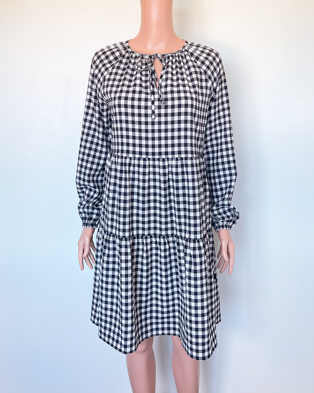 Addison gingham dress