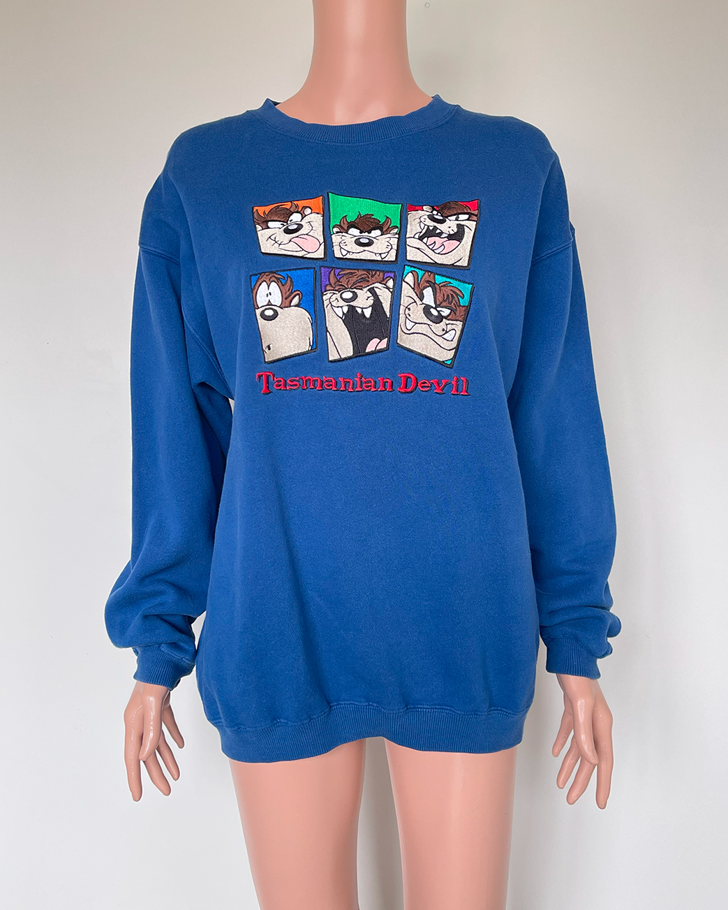 Vintage Tasmanian Devil sweater